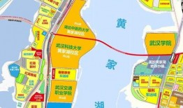 武漢洪山區最新爆料,揭秘神秘事件背后的真相