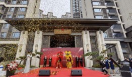 國悅城業主爆料視頻,揭露小區問題引發關注