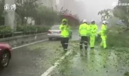 山竹爆料深圳視頻最新,揭秘城市生活背后不為人知的真相