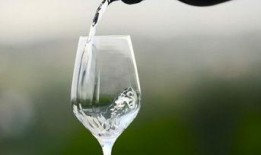 餐廳爆料視頻素材下載大全,一網(wǎng)打盡美食行業(yè)幕后瞬間