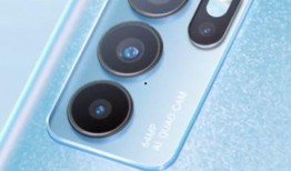 柯基最新爆料視頻大全下載,萌寵瞬間，笑料橫生