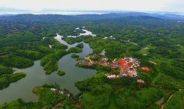 桐鄉(xiāng)鳳凰湖爆料最新新聞,揭秘湖畔新發(fā)現(xiàn)與周邊發(fā)展盛況