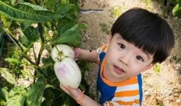 木木子娛樂(lè)吃瓜,揭秘娛樂(lè)圈最新吃瓜事件，帶你領(lǐng)略明星幕后故事