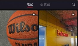 7月3日娛樂爆料視頻網,明星動態大揭秘，精彩瞬間一網打盡