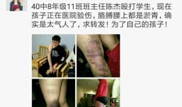 陳老師最新爆料視頻,驚人內幕大公開！