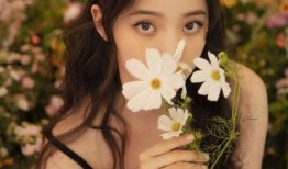 娛樂吃瓜歐陽娜娜小說免費閱讀,娛樂圈的甜蜜瓜田