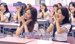 韓國(guó)限制綜藝在線觀看,在線觀看受限，粉絲熱議影響