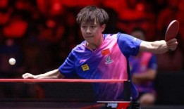 狗仔爆料王楚欽視頻,王楚欽私密視頻曝光，真相揭秘