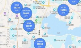 武漢洪山區最新爆料,揭秘神秘事件背后的真相