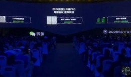 最新爆料雷電將軍視頻播放,神秘力量覺醒，戰斗風格顛覆想象