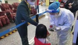 石家莊航班爆料最新消息,航班動態及延誤原因大揭秘