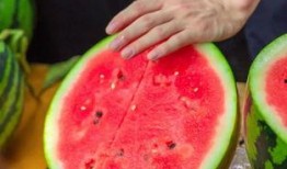 學校瓜在線免費吃瓜,免費瓜果等你來嘗