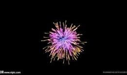 煙火官方爆料視頻,煙火璀璨瞬間背后的制作奧秘