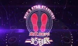 一站到底直播在線觀看,精彩對(duì)決，實(shí)時(shí)觀看盛宴