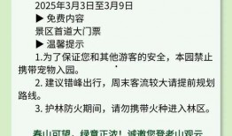外網(wǎng)蘋果17最新爆料,顛覆性設計與強大性能前瞻
