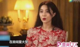 明星熱點爆料視頻怎么做,視頻爆料背后的真相與影響