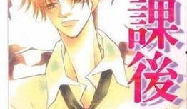 放課后2在線觀看,續(xù)寫青春傳奇，在線觀看新篇章