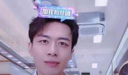 劉小陽前妻爆料視頻,揭秘婚姻背后的驚人真相