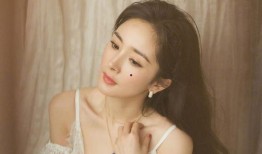 明星娛樂吃瓜直播間視頻,揭秘娛樂圈幕后故事