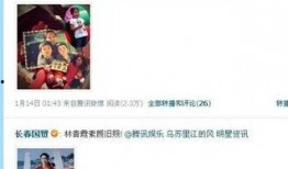 娛樂圈ld爆料,揭秘明星背后的真實故事