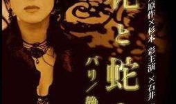 花之蛇6在線觀看,在線揭秘，蛇蝎美女的復(fù)仇之旅