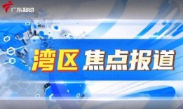 順德熱點(diǎn)爆料新聞視頻,最新爆料新聞視頻回顧