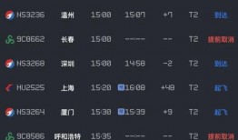 石家莊航班爆料最新消息,航班動態及延誤原因大揭秘