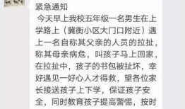 衡水學霸爆料事件真相視頻