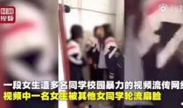 女孩視頻爆料大全免費觀看,免費觀看大全一覽