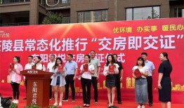 茶陵爆料最新新聞報道,最新突發(fā)新聞聚焦，揭秘事件真相