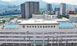 浦東婦幼保健院爆料新聞,緊急救治與后續(xù)調(diào)查展開