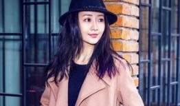 王鷗爆料視頻最新版下載,揭秘娛樂圈驚人內幕