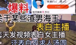 紹興渣男爆料視頻最新版,揭秘驚人真相，引發社會熱議