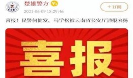 楚雄新聞頭條怎么爆料,市民積極爆料，共同守護家園安寧