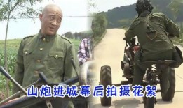 山炮進城3在線觀看,帶你領略農村與城市的碰撞火花！