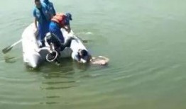 多人爆料溺亡視頻播放,多人爆料溺亡視頻引發社會關注