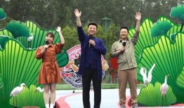 晨光最新爆料新聞報道視頻,揭秘視頻背后的驚人真相