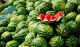 網紅吃瓜免費入口下載,下載攻略大公開