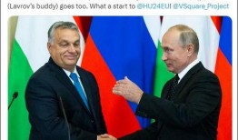 歐盟官員爆料新聞最新報道,最新報道揭示重大政治內幕