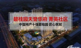 滄州碧桂園最新爆料新聞