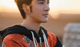 李靚蕾爆料王力宏事件視頻,真相與爭議交織