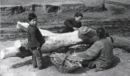 1942的夏天在線觀看,烽火歲月里的生死抉擇