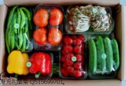 鈦9吃瓜爆料最新視頻