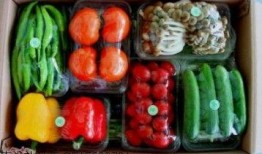 鈦9吃瓜爆料最新視頻