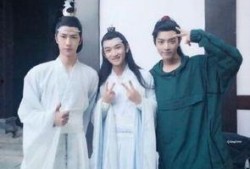 陳情令粉絲爆料視頻大全,揭秘劇中幕后故事與精彩瞬間