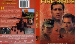 《火鳥(niǎo)出擊》在線觀看,燃燒激情，翱翔藍(lán)天，揭秘現(xiàn)代空戰(zhàn)傳奇