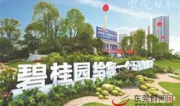 滄州碧桂園最新爆料新聞