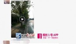 廣西柳州網友爆料新聞,驚現神秘事件，真相令人震驚！