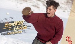 尼爾森爆料楊洋視頻播放,尼爾森揭露楊洋視頻播放背后真相