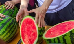 免費吃瓜網頁,暢享網絡娛樂盛宴